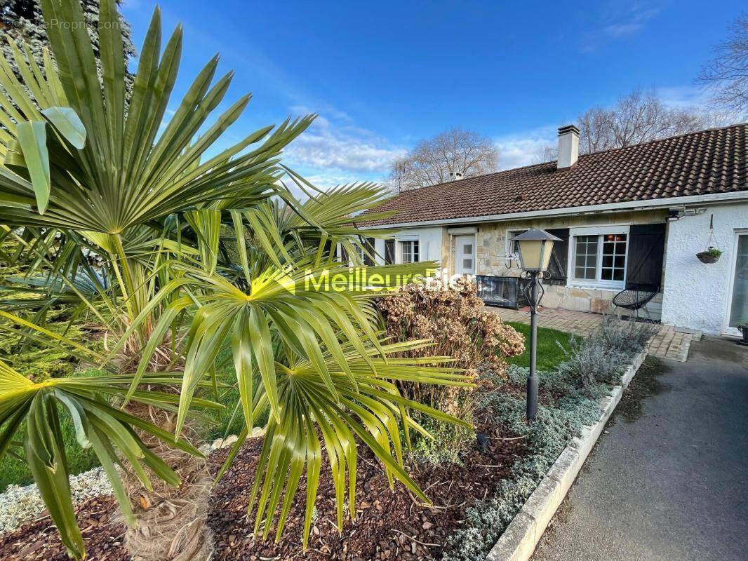 Maison à LA LONGUEVILLE