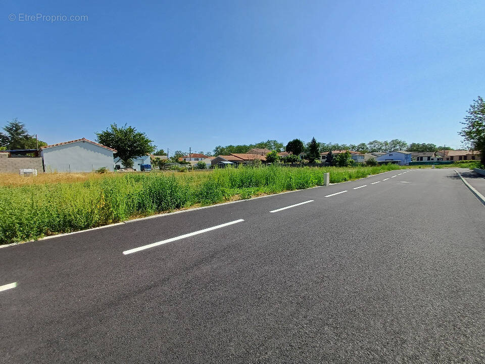 Terrain à SAINT-JEAN-DU-FALGA