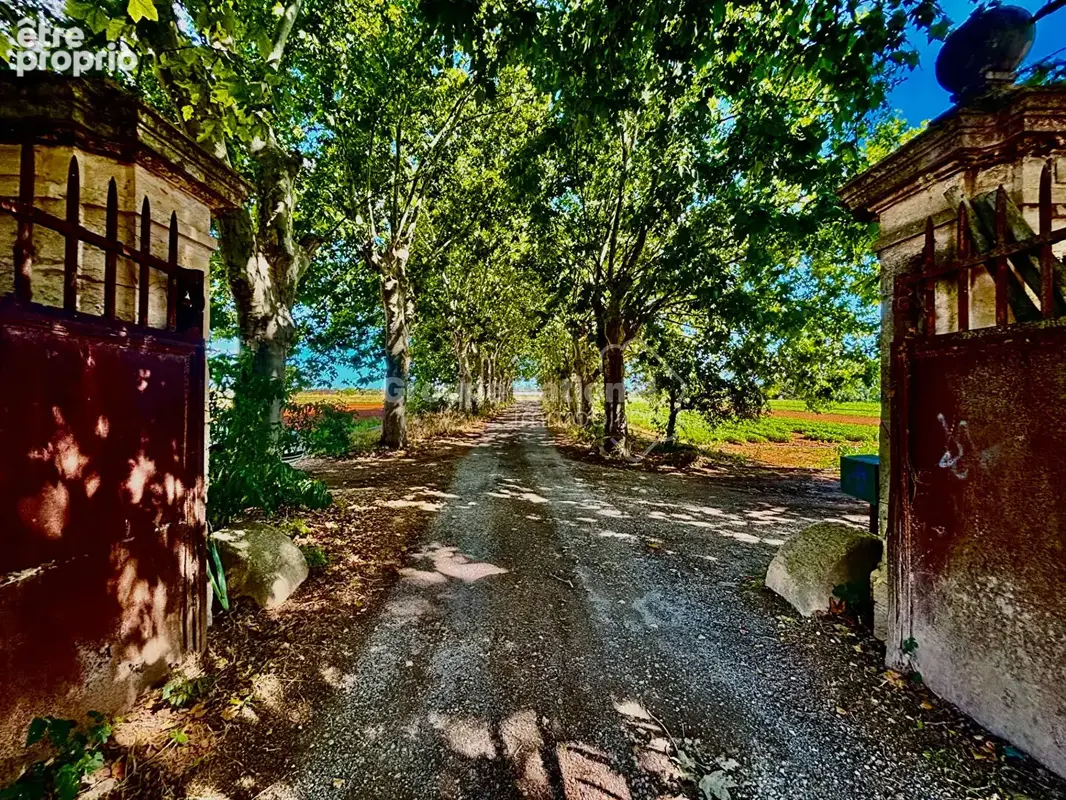 Maison Mauguio - photo 8
