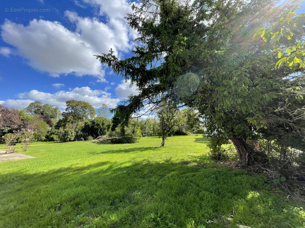 Terrain à SAINT-CHRISTOPHE
