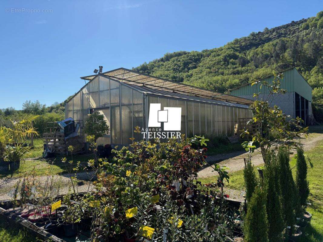 Commerce à LES VANS