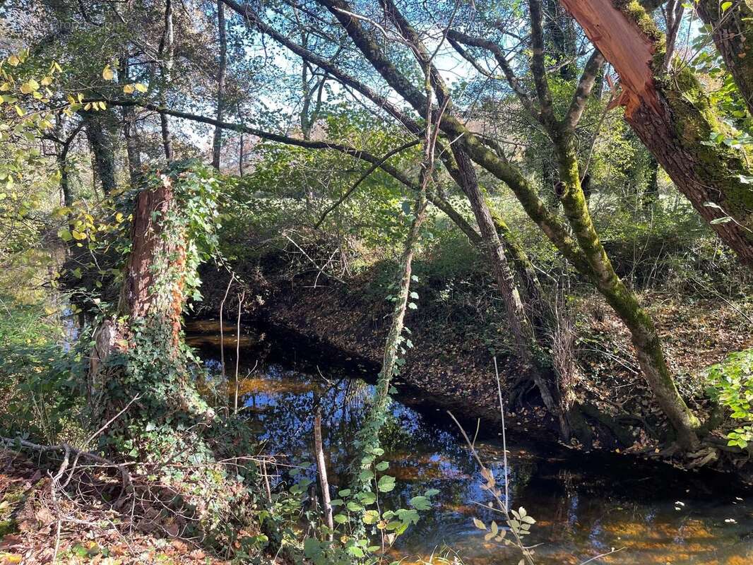 Terrain à SAINT-SELVE