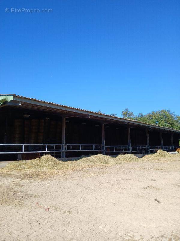 Maison à LADIGNAC-LE-LONG