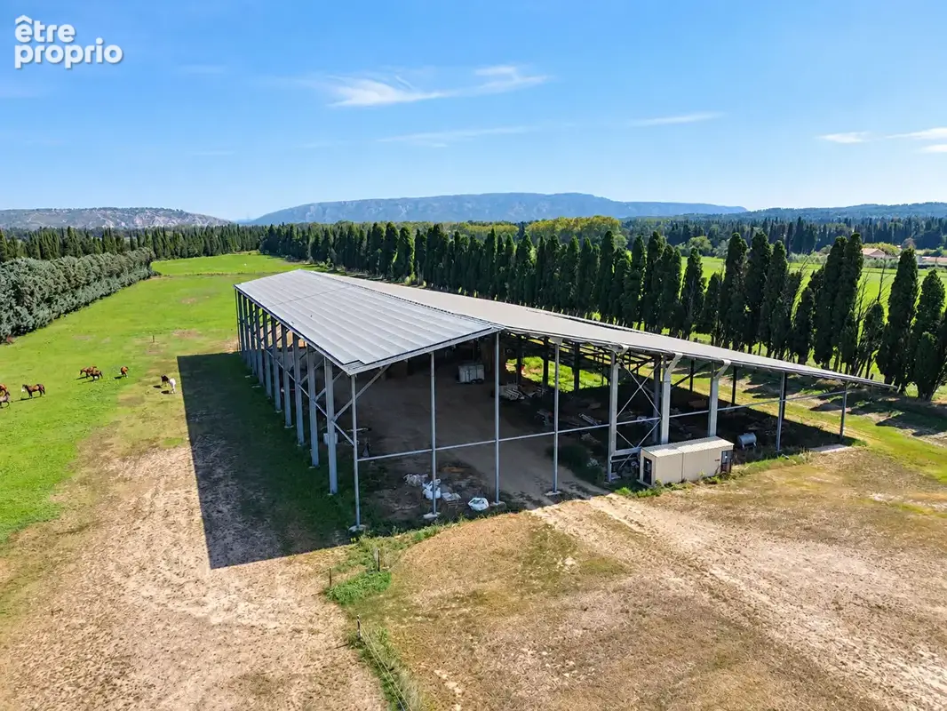 Domaine d'exception de 11hectares .Un futur resort équestre au coeur des Alpilles - photo 12
