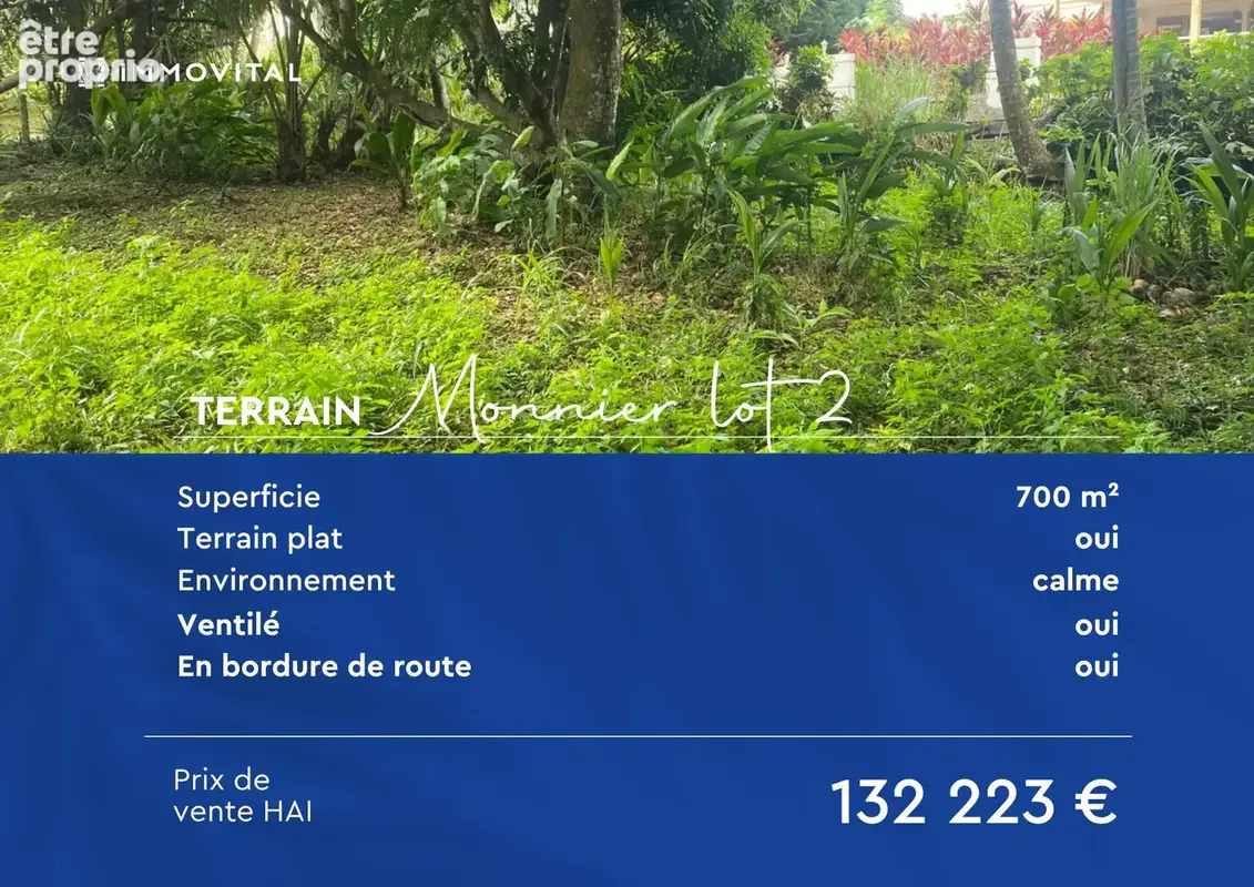 Vente terrain dans le quartier de monnier dans la commune du lamentin; - photo 5