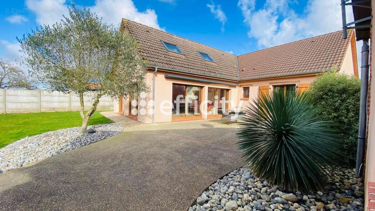 Maison 140 m² à Saint-Martin-En-Campagne  - photo 2