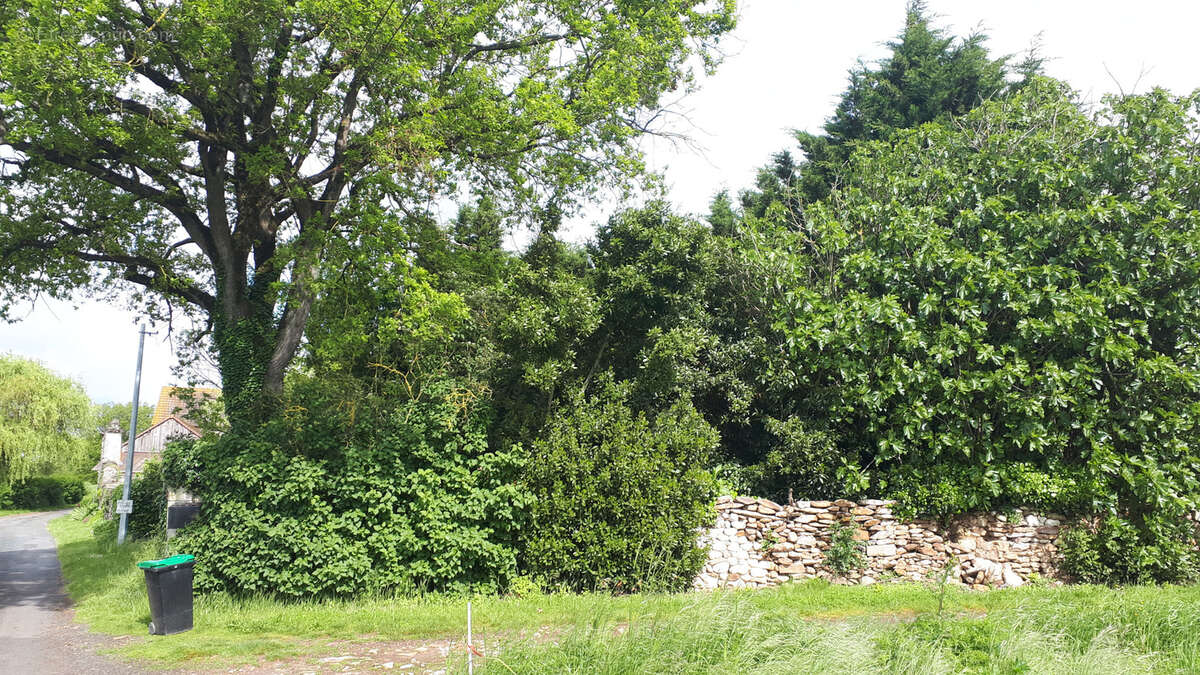 Maison à DANGE-SAINT-ROMAIN