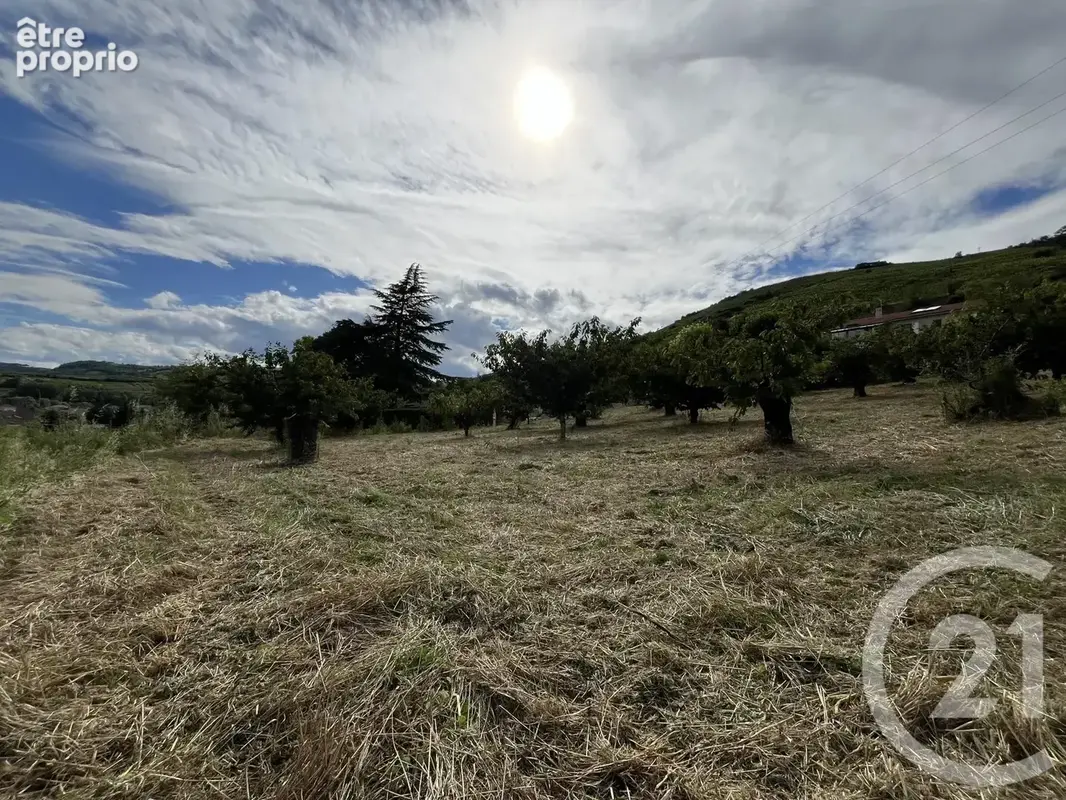Terrain 2 215 m² à vendre à Saint-Desirat (07340) - photo 7