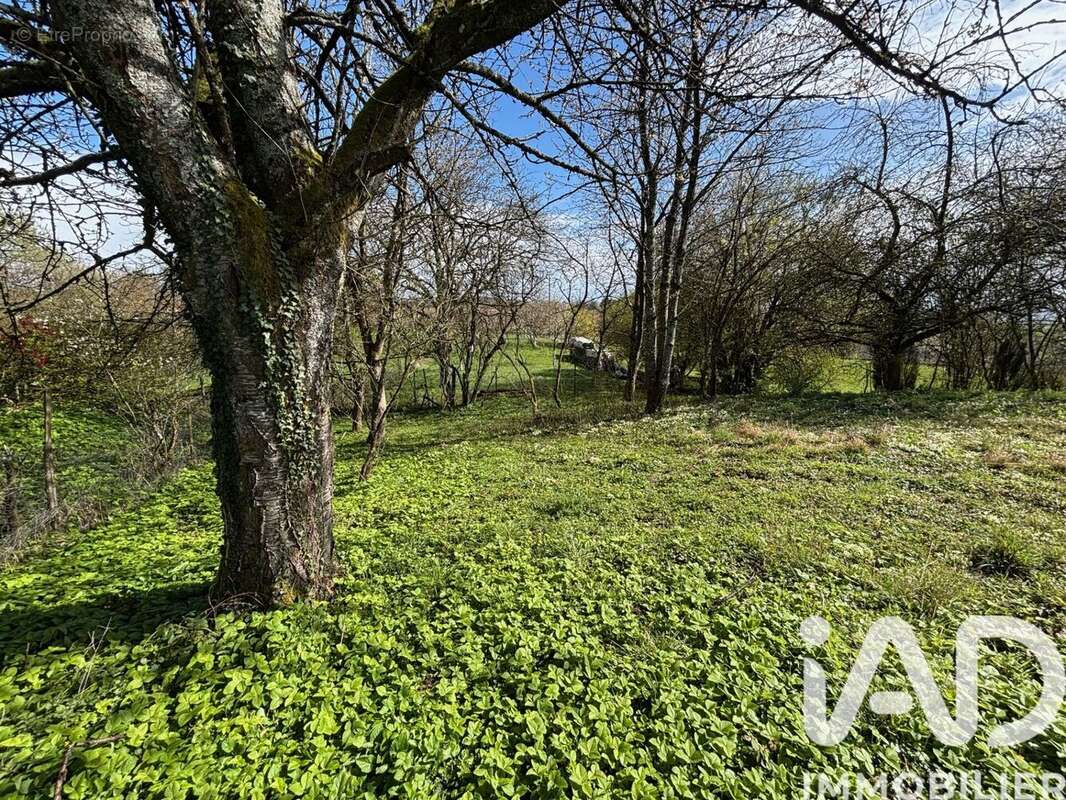 Photo 7 - Terrain à MONTCORNET