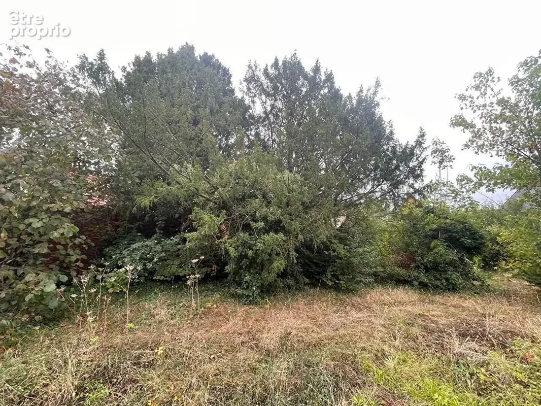 Terrain Ormesson Sur Marne 360 m2 - photo 2