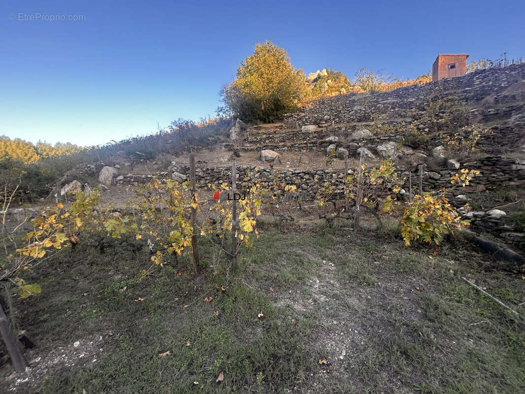 Terrain à COLLIOURE