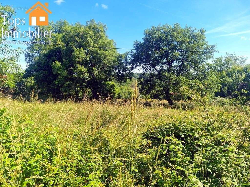 Terrain à VILLEFRANCHE-DE-ROUERGUE