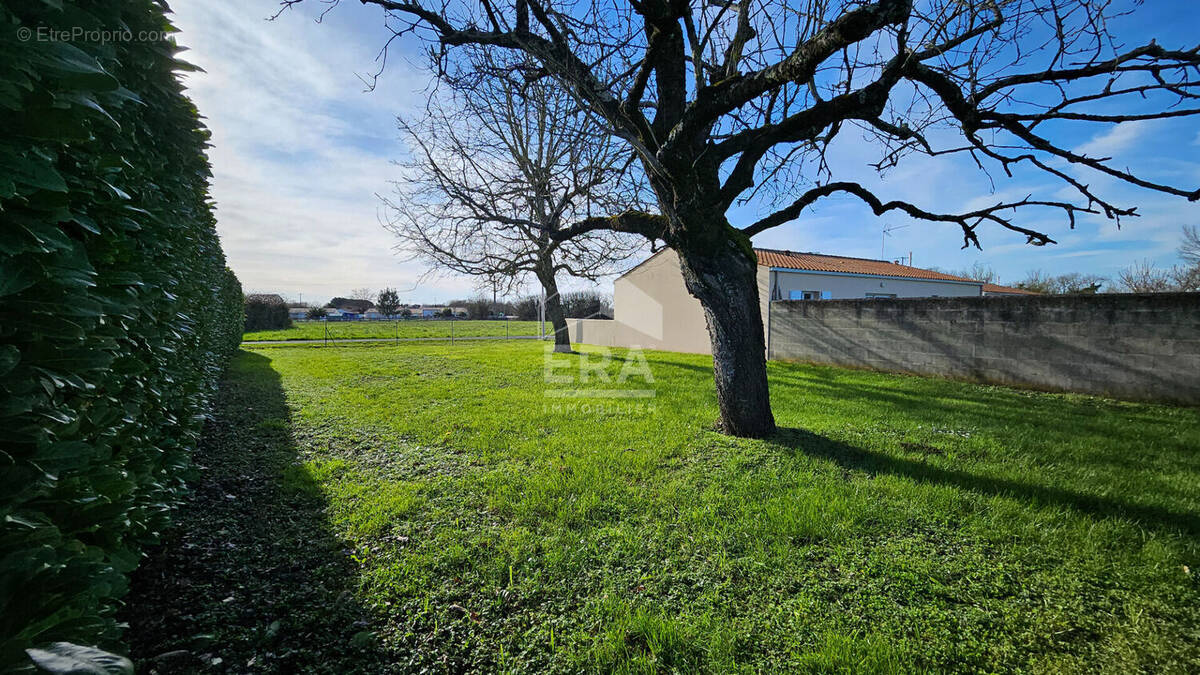 Terrain à SAINT-MARD