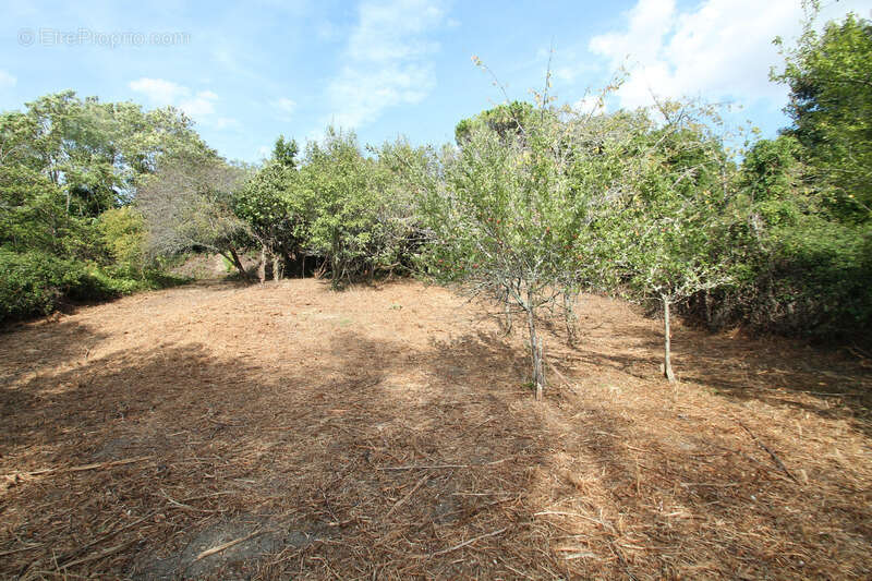 Maison à CASTELJALOUX