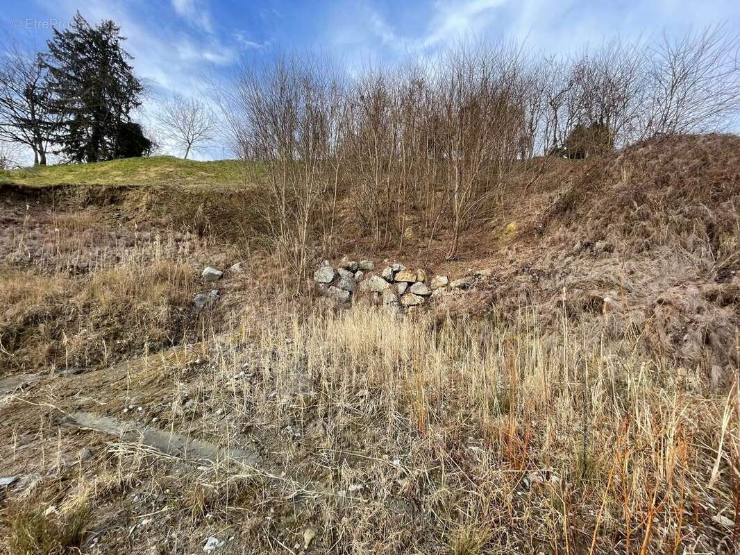 Terrain à COISE-SAINT-JEAN-PIED-GAUTHIER