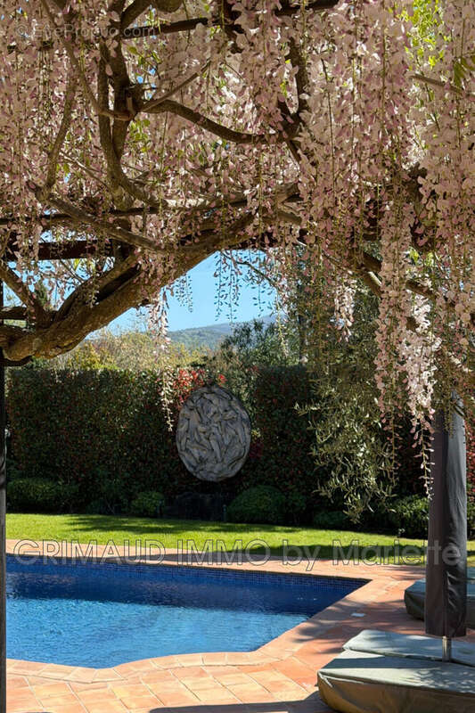 Maison à GRIMAUD