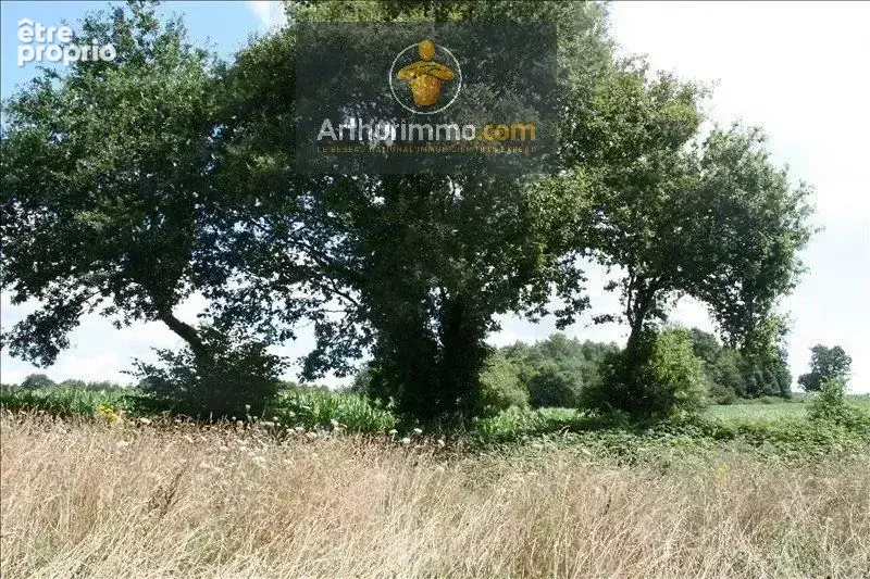 Vente Terrain Guillac(56800) 5 200ï¿œ - photo 4