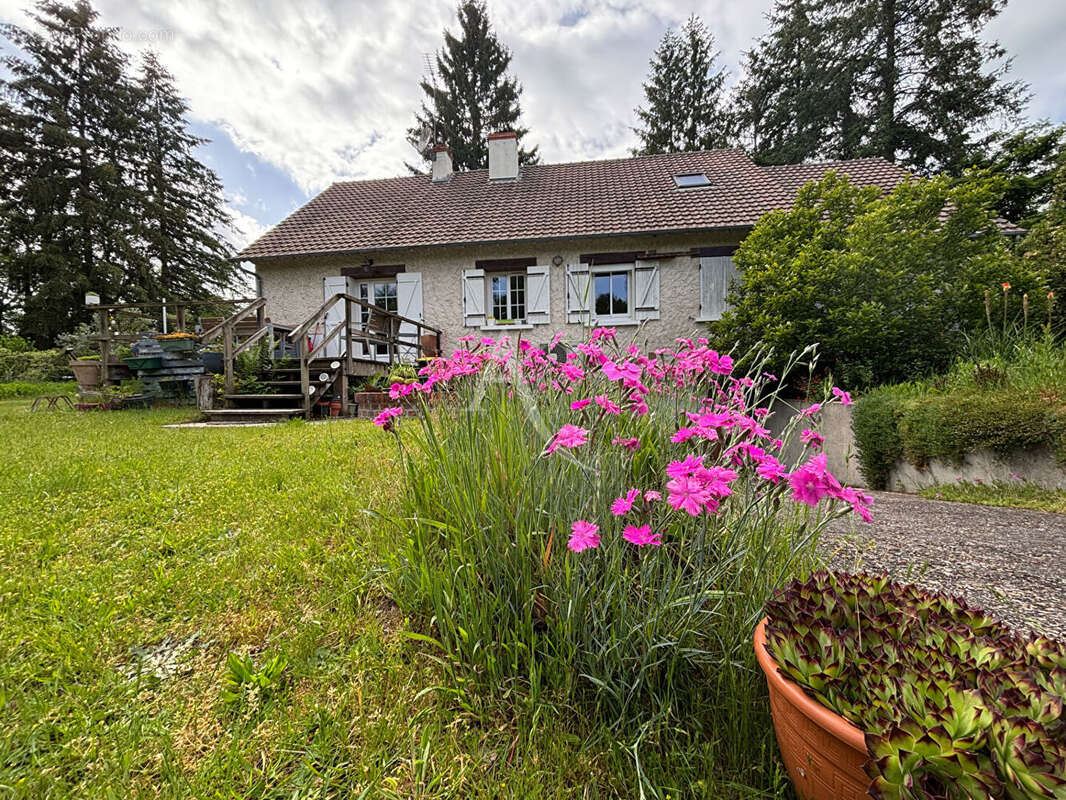 Maison à NOUAN-LE-FUZELIER