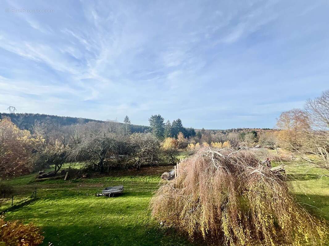 Appartement à ANGOMONT