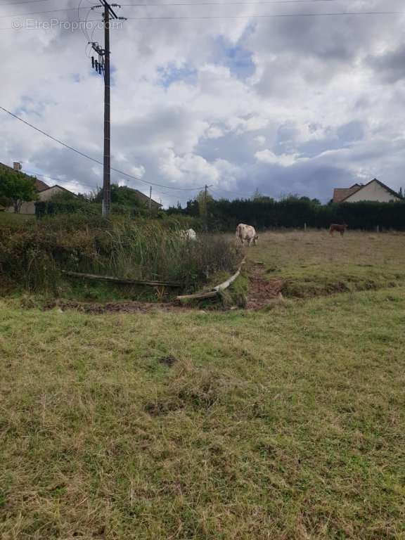 Terrain à ESSERTENNE