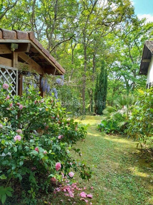 Maison à AIRE-SUR-L&#039;ADOUR