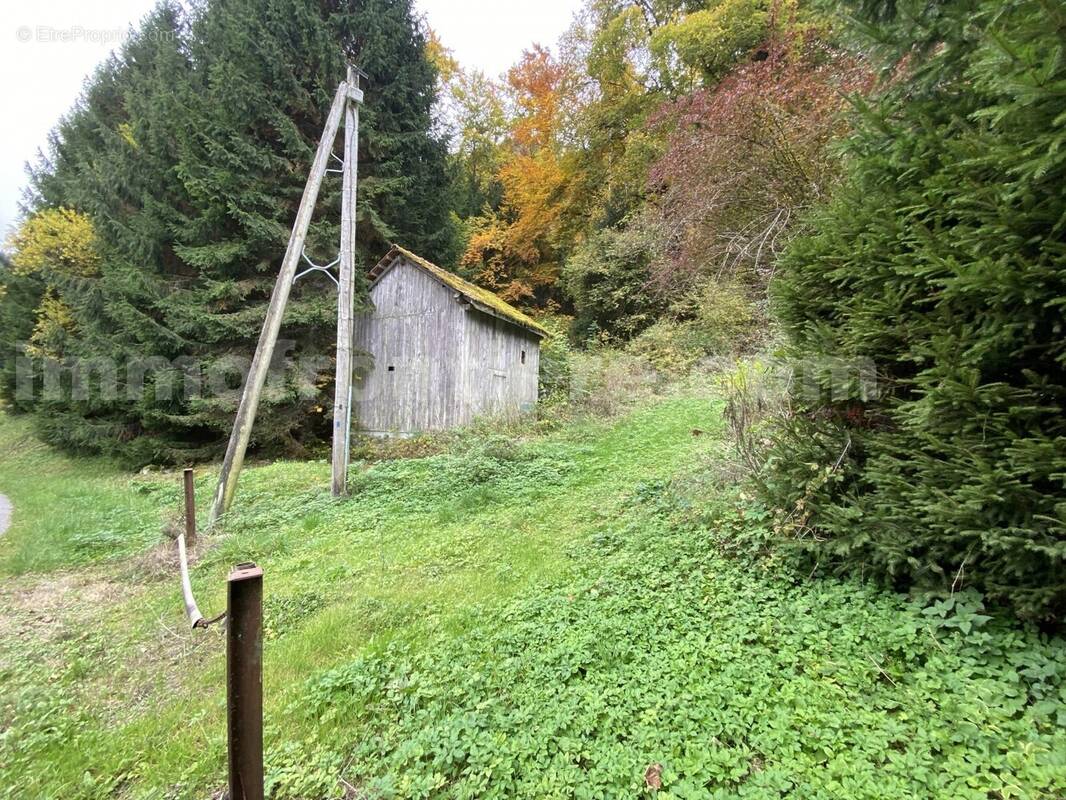 IMG_9776 - Terrain à VAILLY