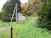 IMG_9776 - Terrain à VAILLY