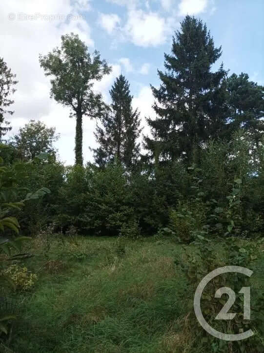 Terrain à BOULT-SUR-SUIPPE