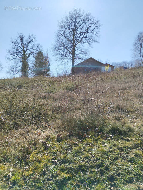 Terrain constructible - photo 2