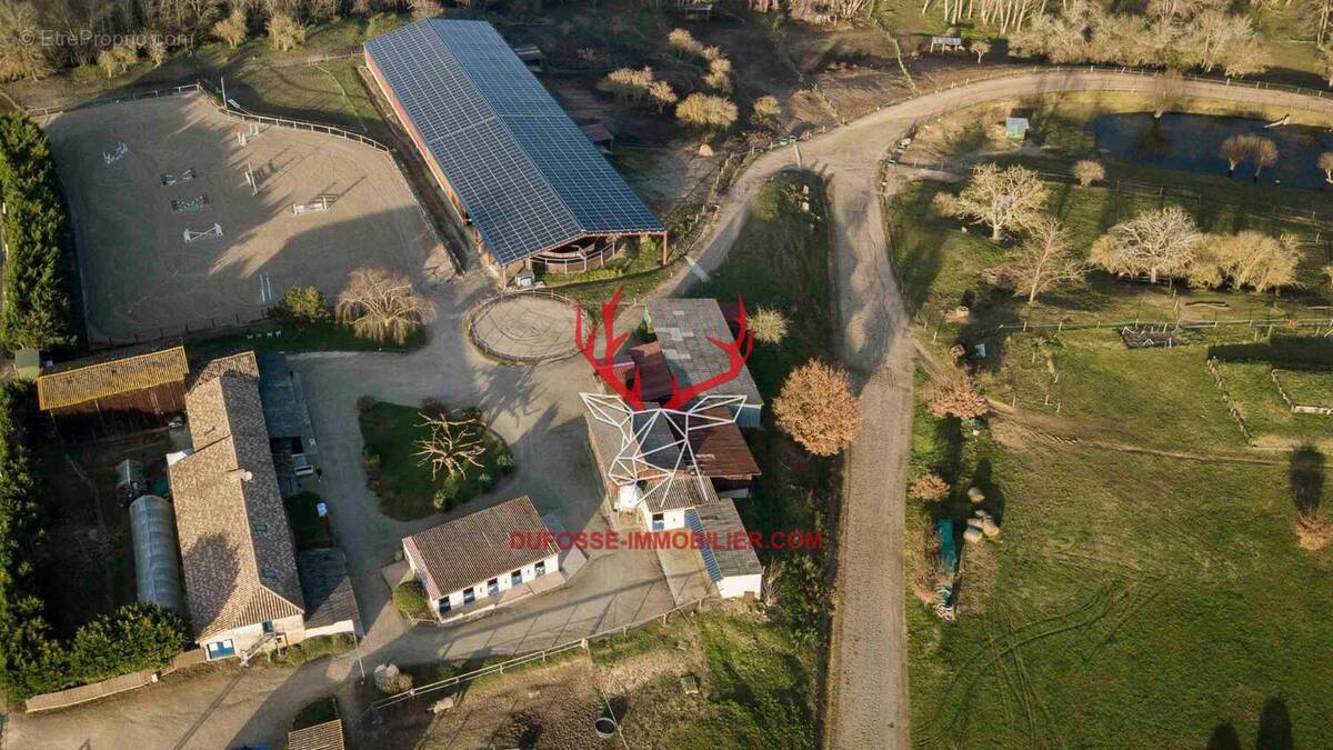 Photo 1 - Maison à LANGON