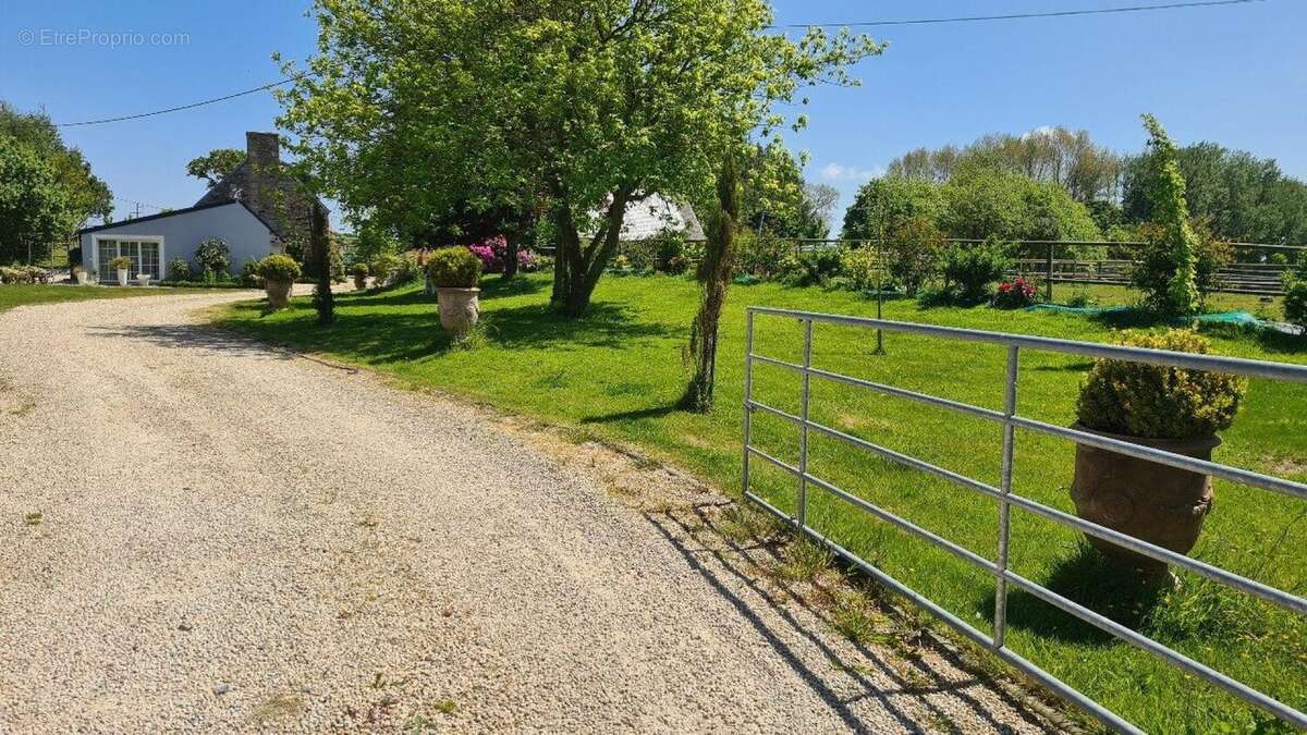 Photo 4 - Maison à ROSPEZ