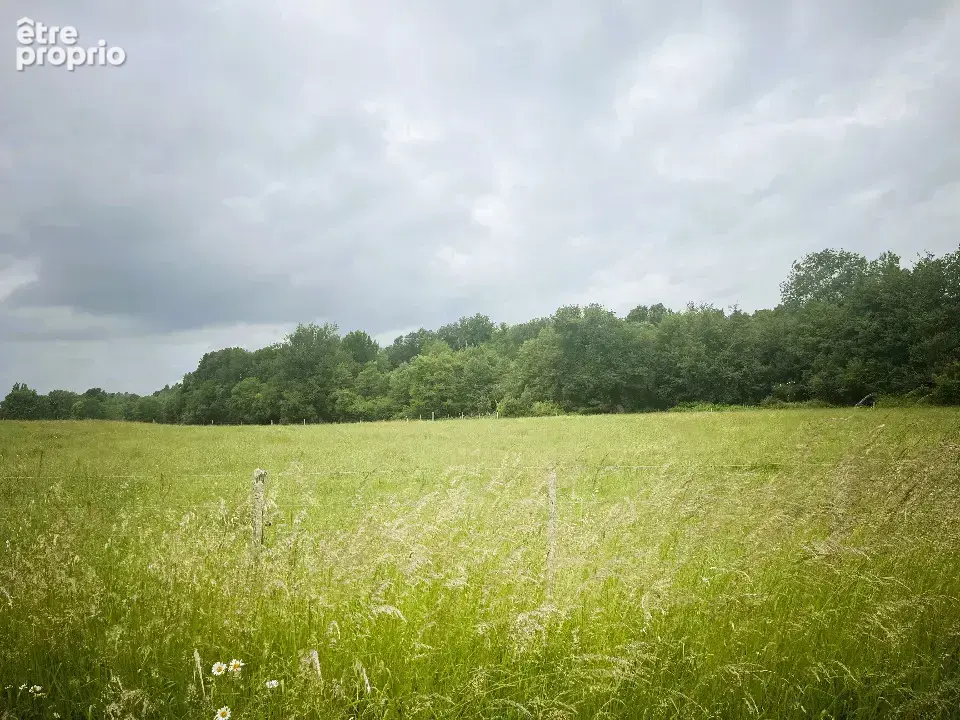 Terrain à LA LANDE-DE-FRONSAC