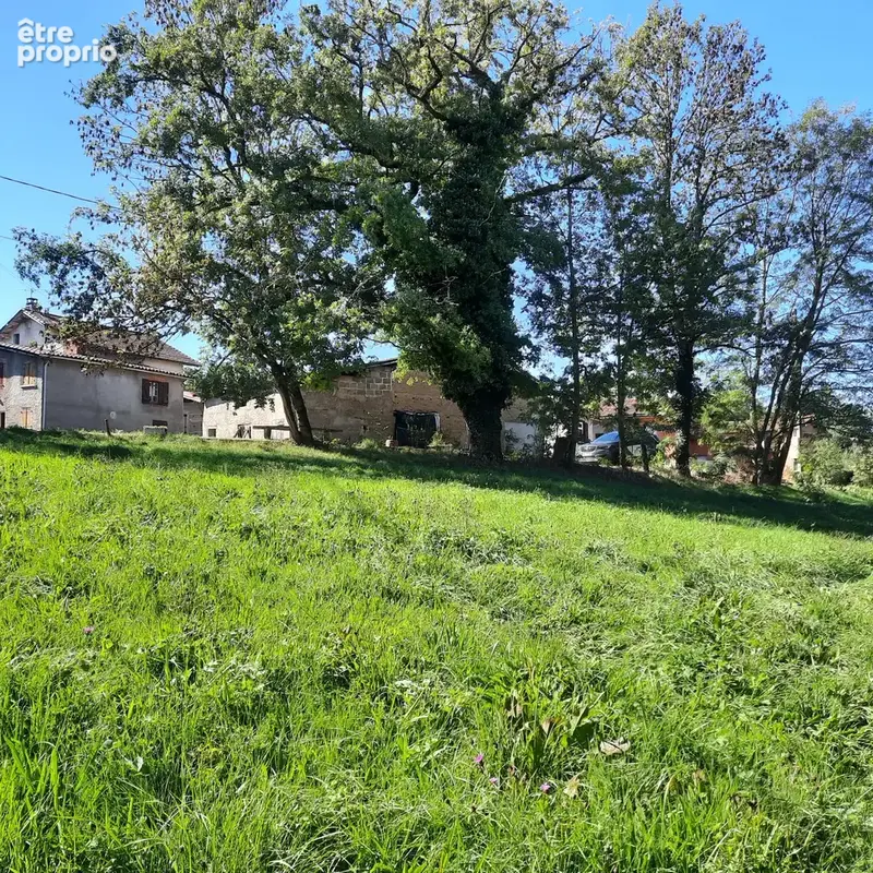 Terrain à ESCOUTOUX