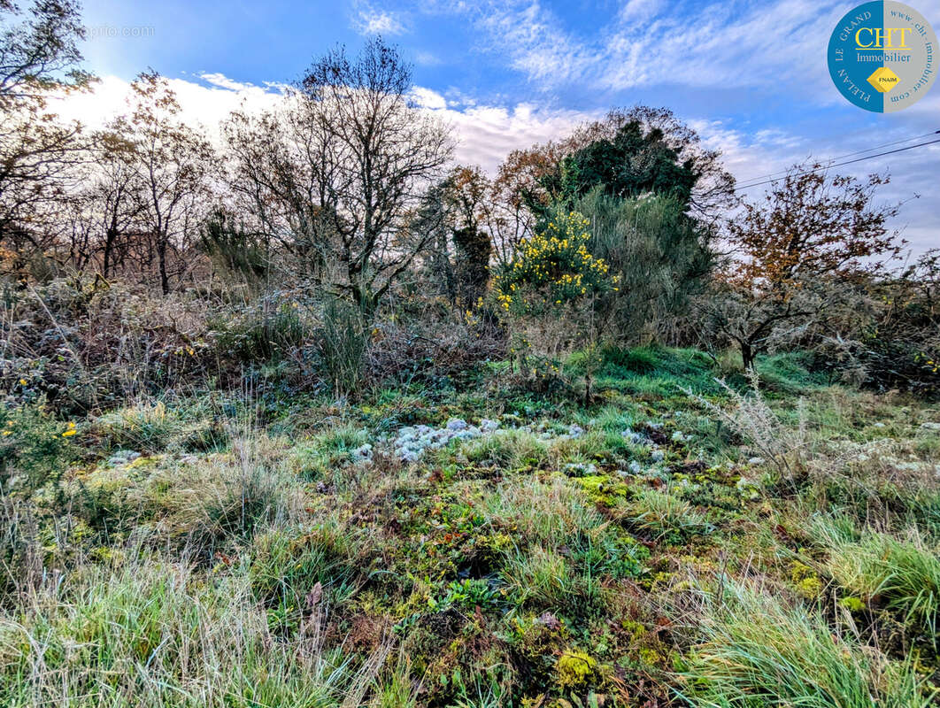 Terrain boisé / parcelle de loisirs   campagne de monteneuf (56380) avec cht immobilier - photo 4
