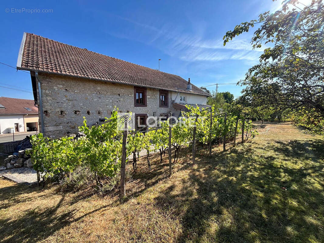 Maison Chatenois Les Forges 10 pièce(s)  m2 - photo 2