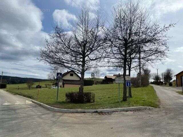 Terrain à LES GRANGETTES