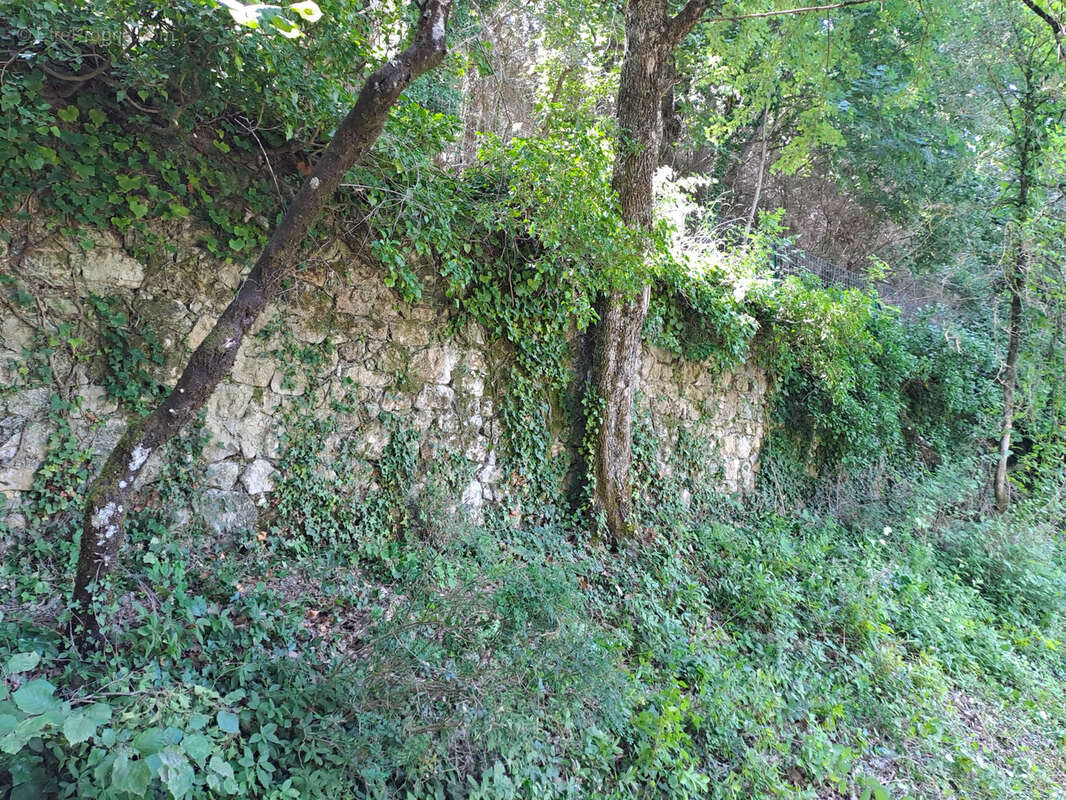 Terrain à REMUZAT