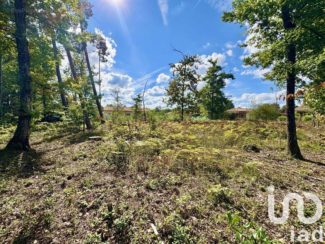 Photo 1 - Terrain à MARSAC-SUR-L&#039;ISLE