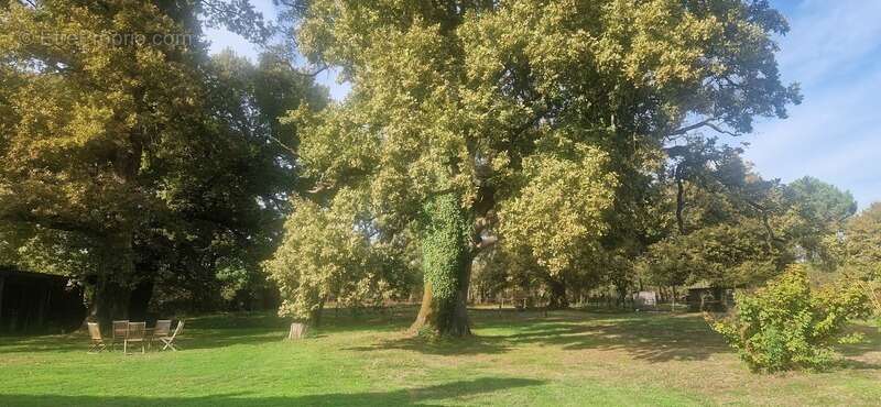 Maison à CREON-D&#039;ARMAGNAC