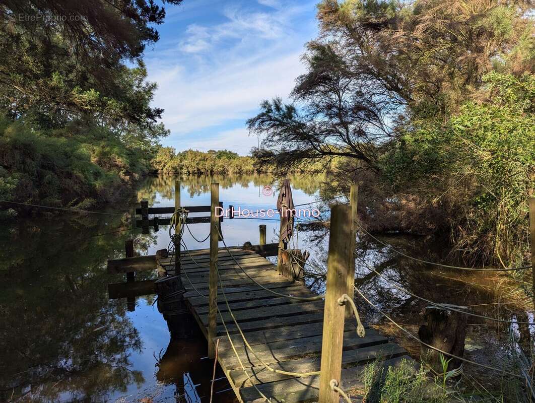 Terrain à L'ILE-D'OLONNE