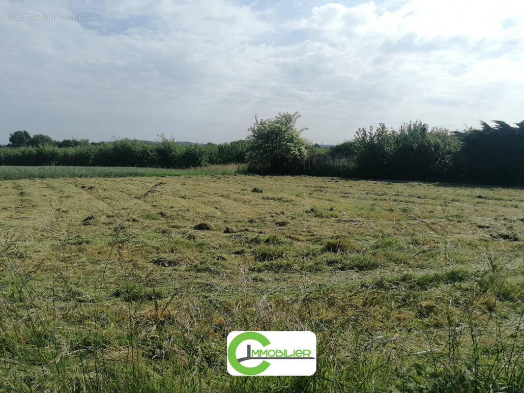 Terrain à DOLLON