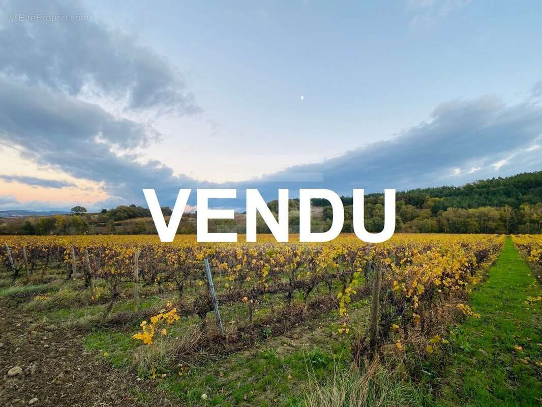 Terrain à BELVEZE-DU-RAZES