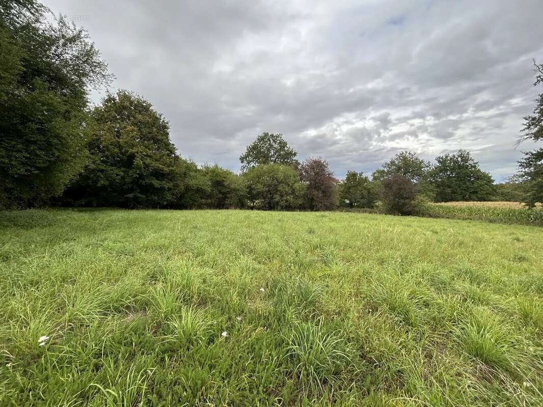 Maison à CONDEISSIAT