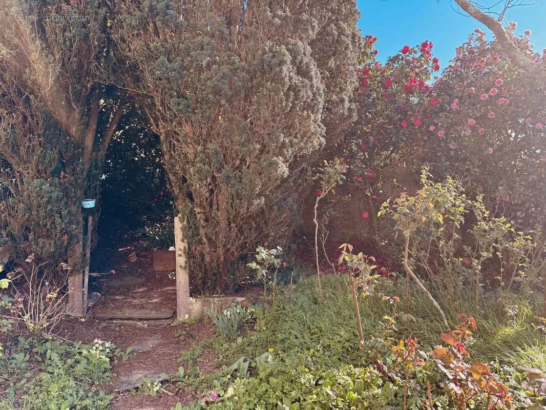 Maison à SAINT-SEGAL