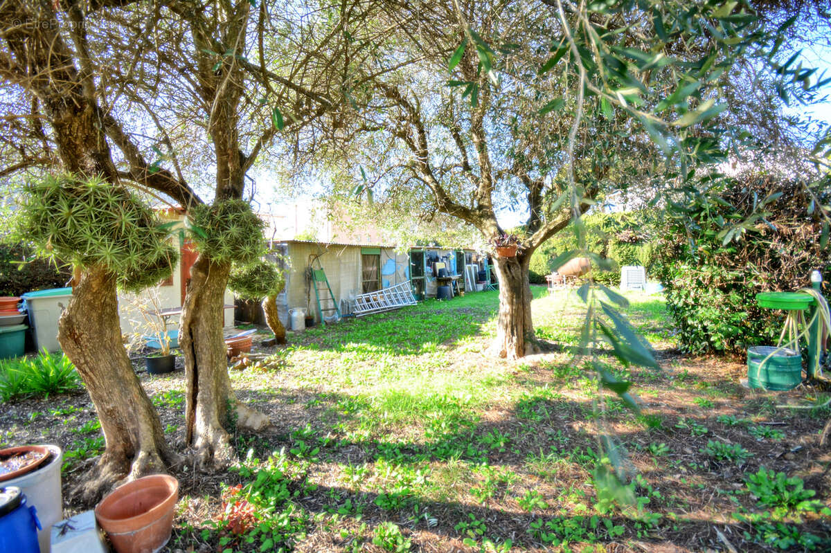 Maison à MOUANS-SARTOUX