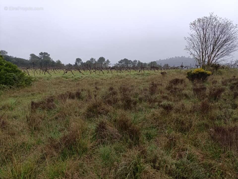 Terrain à VALFLAUNES