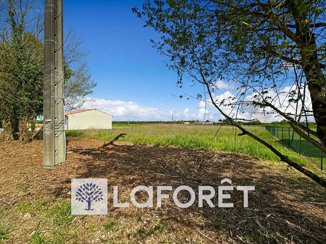 Terrain à SAINT-QUANTIN-DE-RANCANNE