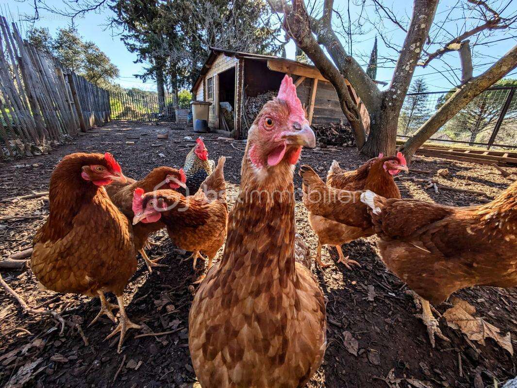 Maison à VILLECROZE