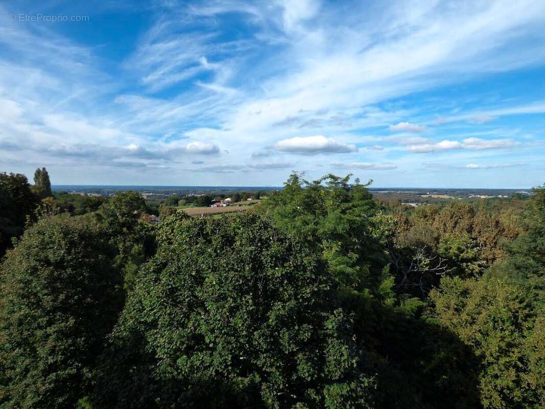 Château féodal au coeur des Landes sur 3,5 hectares - photo 18