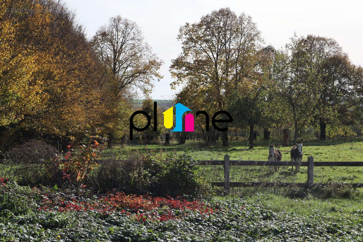 Terrain à HAUTEVILLE